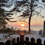 Photo n°3 de l'avis de Lars.� fait le 18/06/2021 à 21:36 sur le  Fischgaststätte Bistro Boddenblick à Lubmin