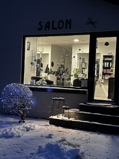 Salon ApKunste Dyrup in Odense, Odense