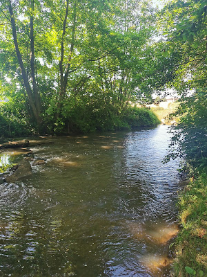 Griselles à Griselles