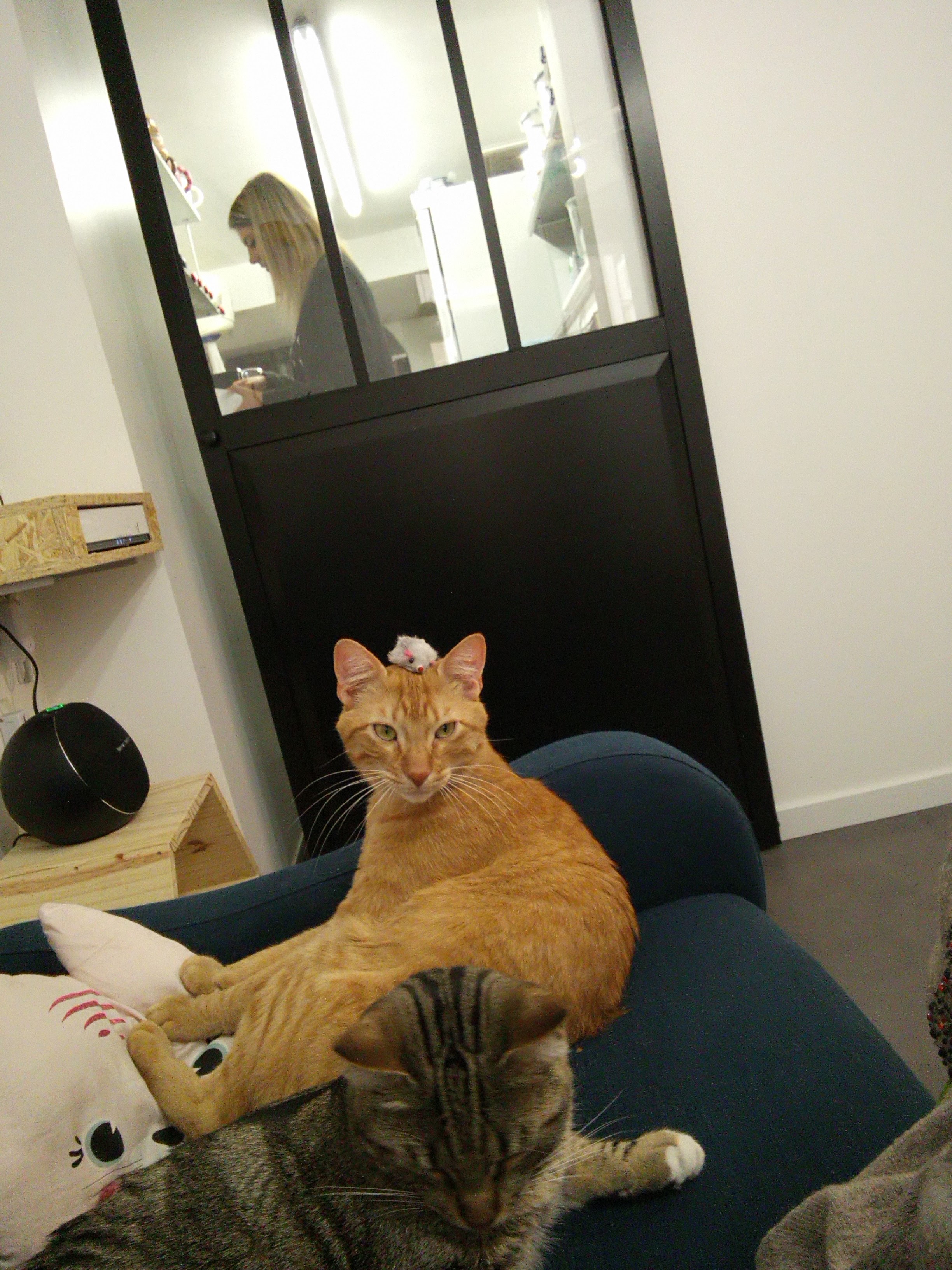 Photo n° 1 de l'avis de Jane. fait le 12/04/2019 à 16:21