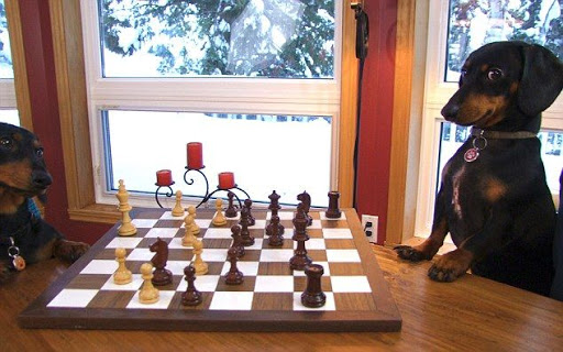 oak park chess club