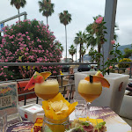 Photo n°1 de l'avis de Michela.l fait le 04/08/2023 à 06:41 sur le  Single Fin Andora à Andora