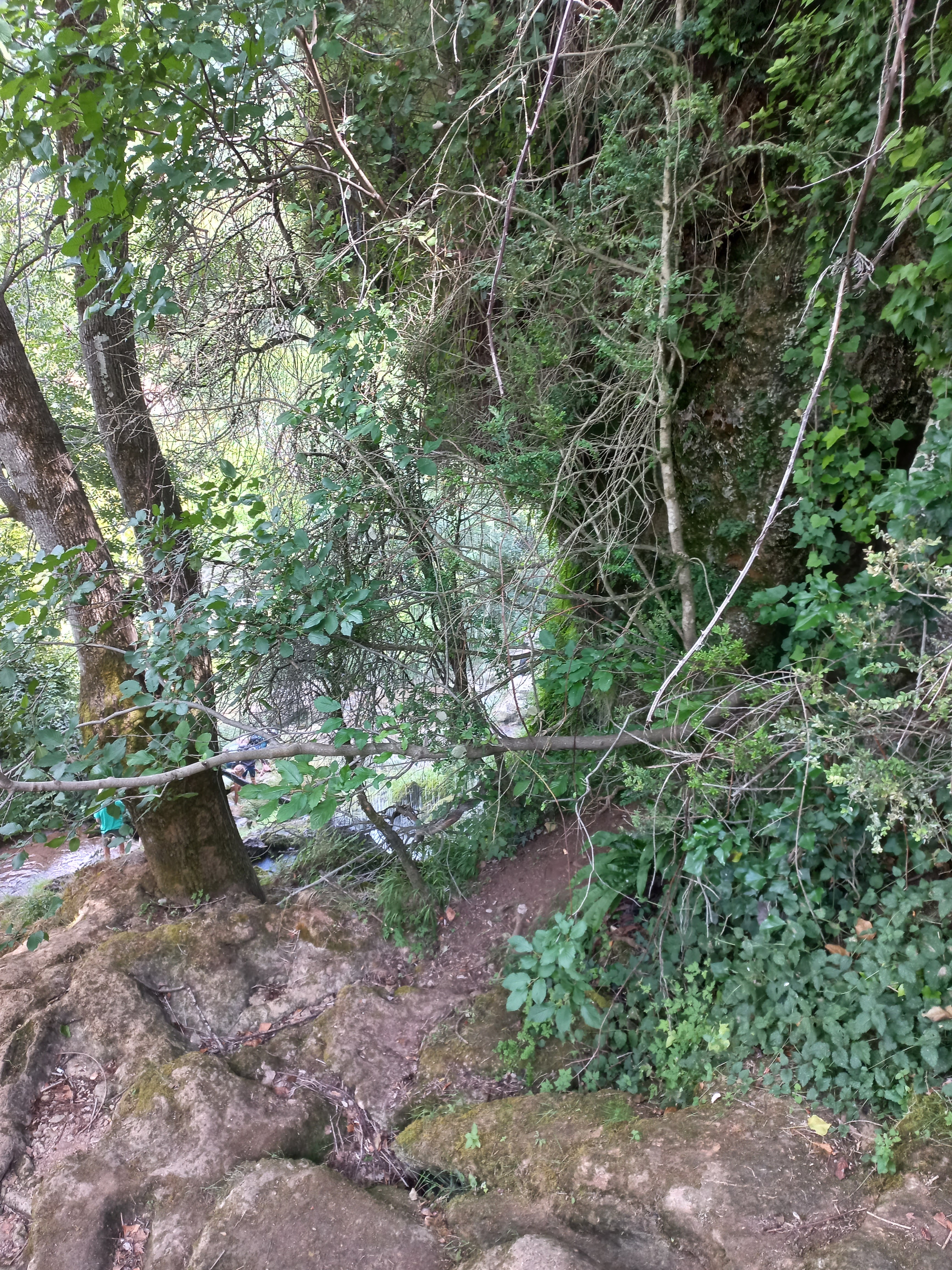 Photo n° 6 de l'avis de Christian.a fait le 25/07/2023 à 14:10