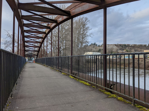 Nature Preserve «Black River Riparian Forest and Wetland», reviews and photos, Oakesdale Ave SW, Renton, WA 98057, USA