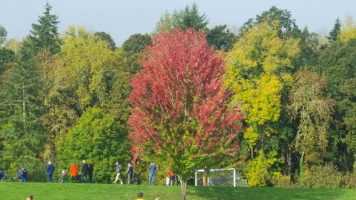 Park «Mary S. Young Park», reviews and photos, 19900 Willamette Dr, West Linn, OR 97068, USA