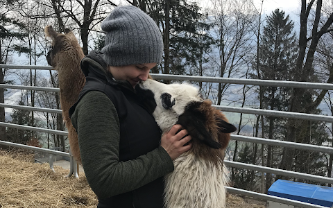 Lama- & Alpakahof Triesenberg image