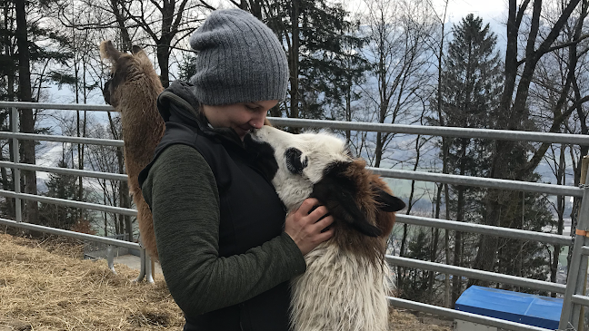 Lama- & Alpakahof Triesenberg