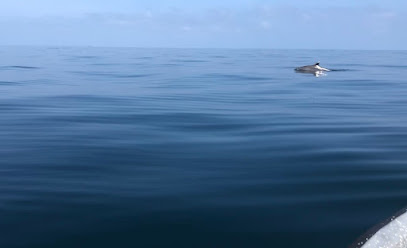 Centro de Buceo Rincon del Mar