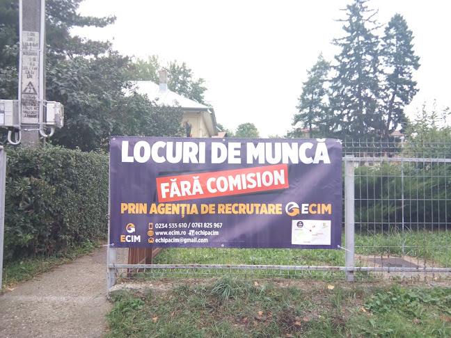 EchipaCIM - Locuri de muncă - intermedieri & consultanță - Firmă de construcții