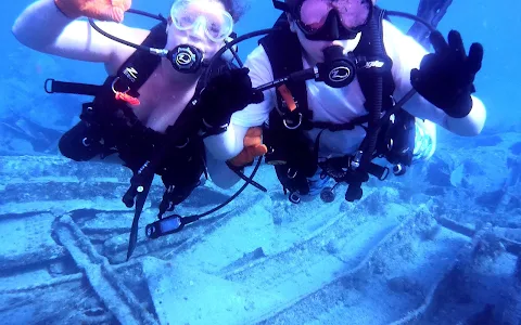 North Florida Divers- Scuba Diving Certification image