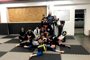 ביה״ס לאומנויות לחימה MMA Shuraki image
