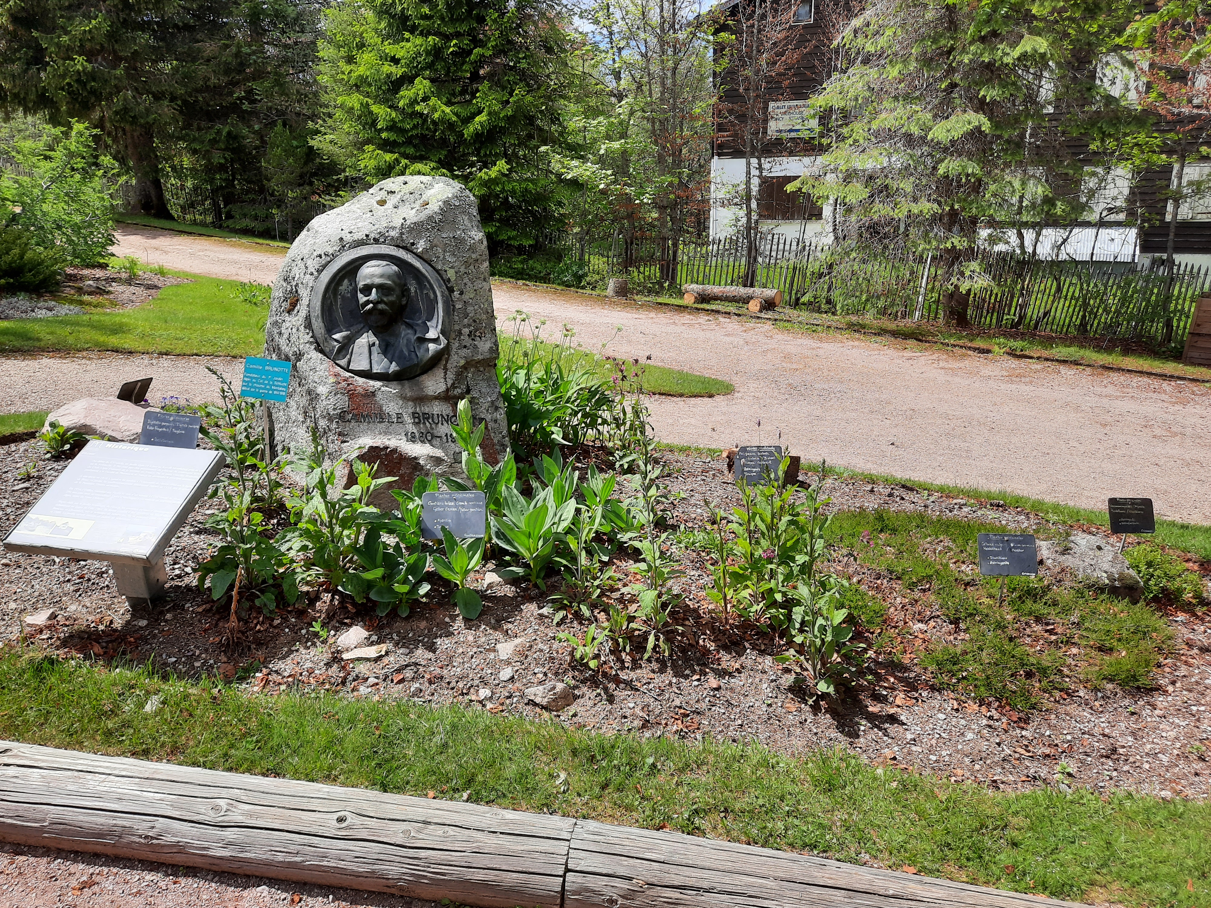 Photo n° 18 de l'avis de Victoria.e fait le 22/06/2020 à 21:37