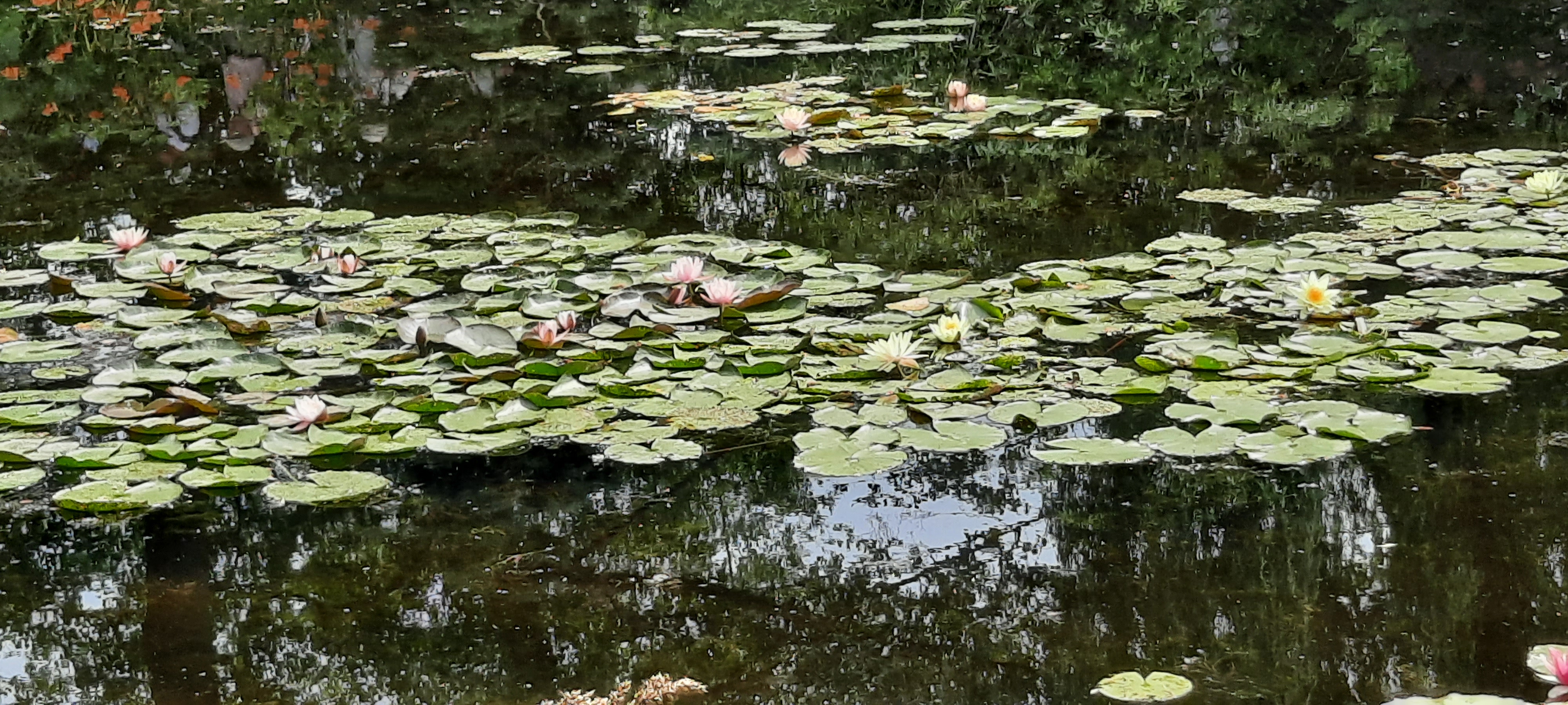 Photo n° 1 de l'avis de Guillaume.r fait le 18/06/2023 à 06:44