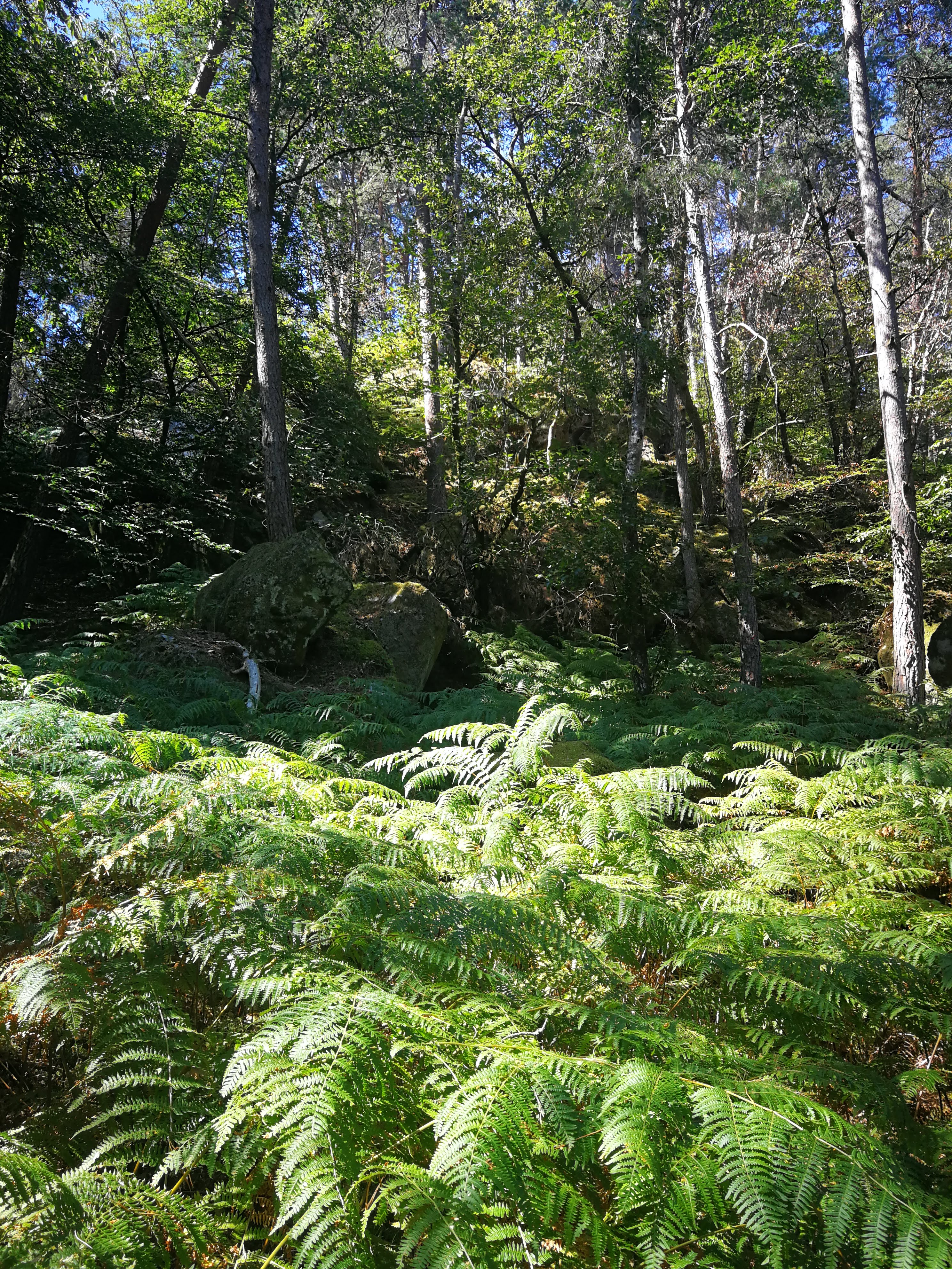Photo n° 13 de l'avis de Sophie. fait le 29/08/2019 à 15:26