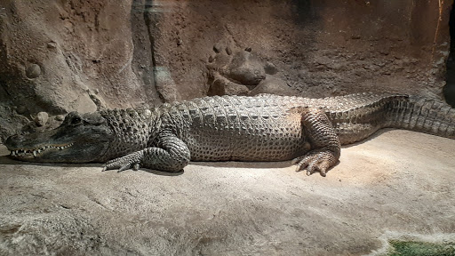 Zoo «Henry Vilas Zoo», reviews and photos, 702 S Randall Ave, Madison, WI 53715, USA