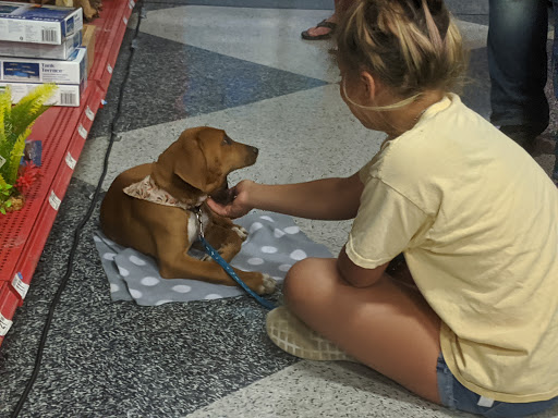 Pet Supply Store «Petco Animal Supplies», reviews and photos, 8100 W Crestline Ave d, Littleton, CO 80123, USA