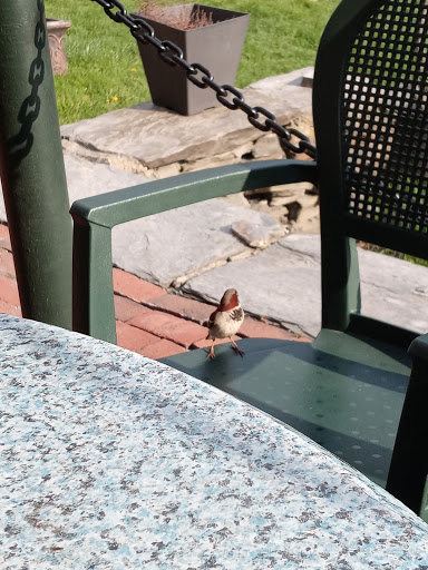 Shopping Mall «PowerHouse Mall», reviews and photos, 8 Glen Rd, West Lebanon, NH 03784, USA