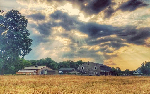 Winery «Cream Ridge Winery», reviews and photos, 145 County Rd 539, Cream Ridge, NJ 08514, USA