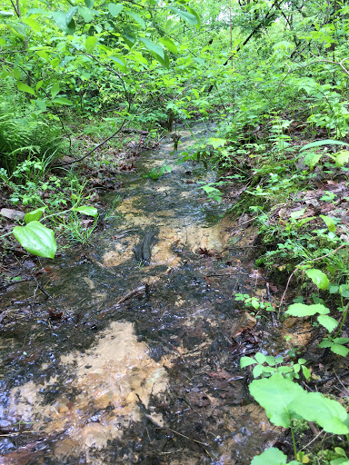 Nature Preserve «Eidolon Nature Preserve», reviews and photos, 2146 Orleans Rd, Great Cacapon, WV 25422, USA