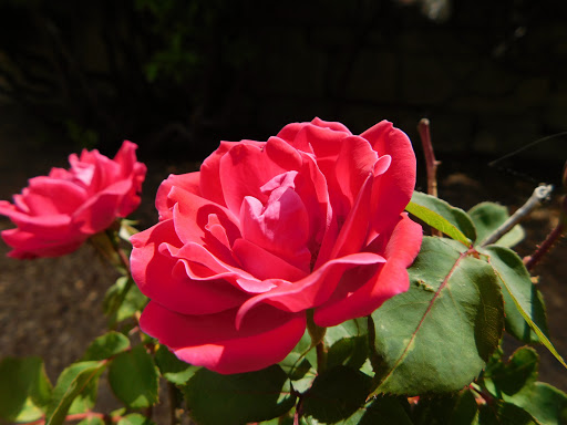 Recreation Center «Historic Arkansas Riverwalk», reviews and photos, 101 S Union Ave, Pueblo, CO 81003, USA