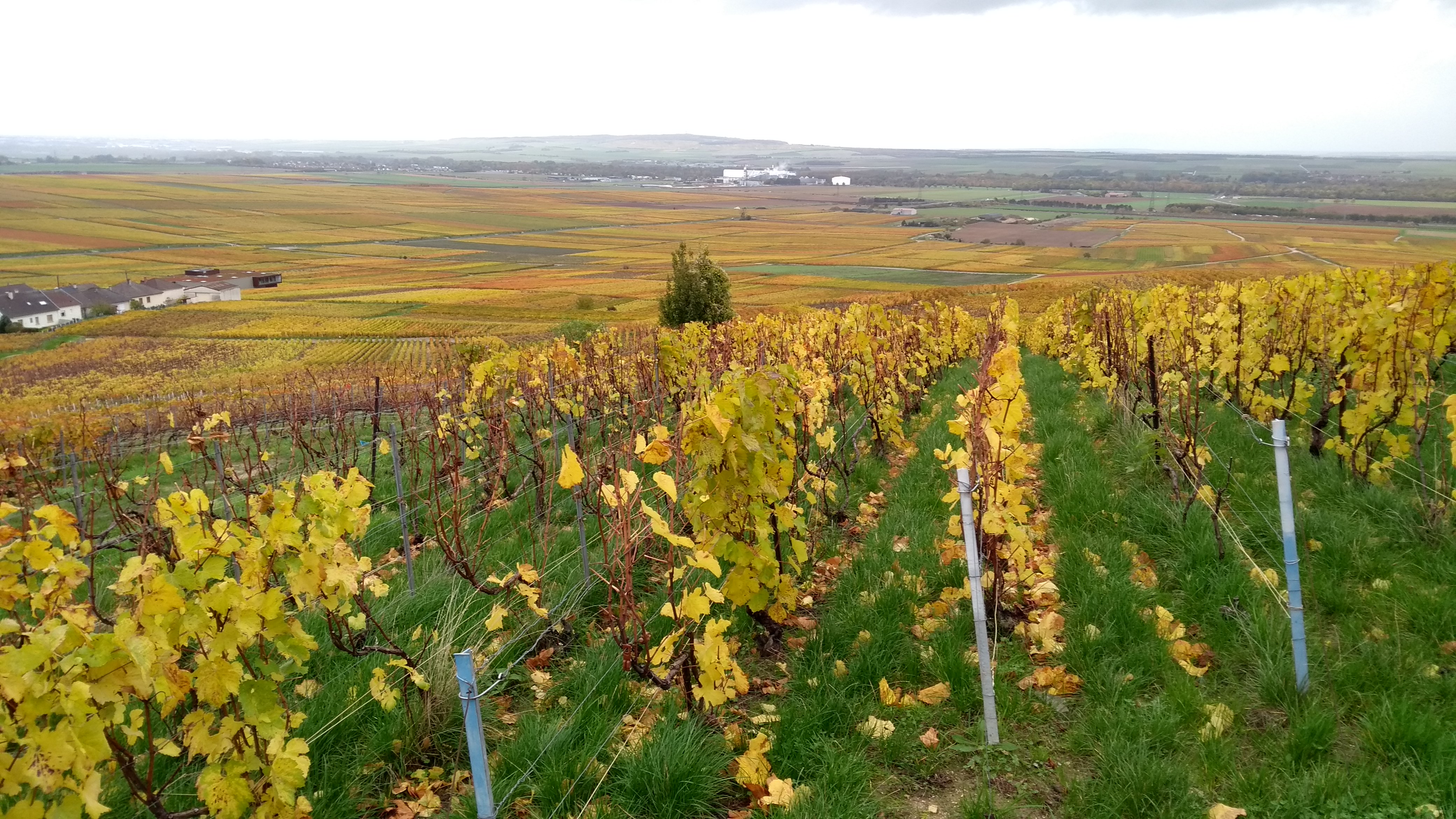 Photo n° 1 de l'avis de Dominique.a fait le 05/11/2019 à 20:17