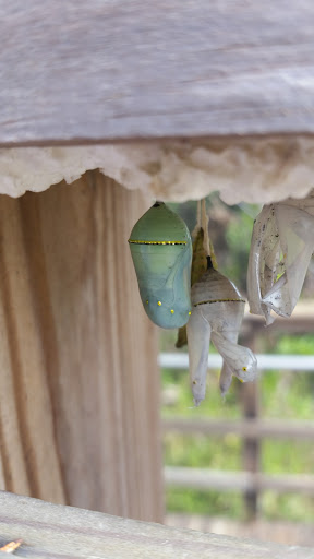 Non-Profit Organization «Sanibel-Captiva Conservation Foundation», reviews and photos, 3333 Sanibel Captiva Rd, Sanibel, FL 33957, USA