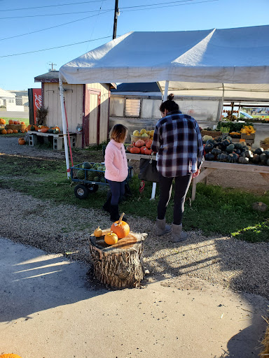 Garden Center «Hildebrant Farmers Market», reviews and photos, 349 Main Ave E, West Fargo, ND 58078, USA