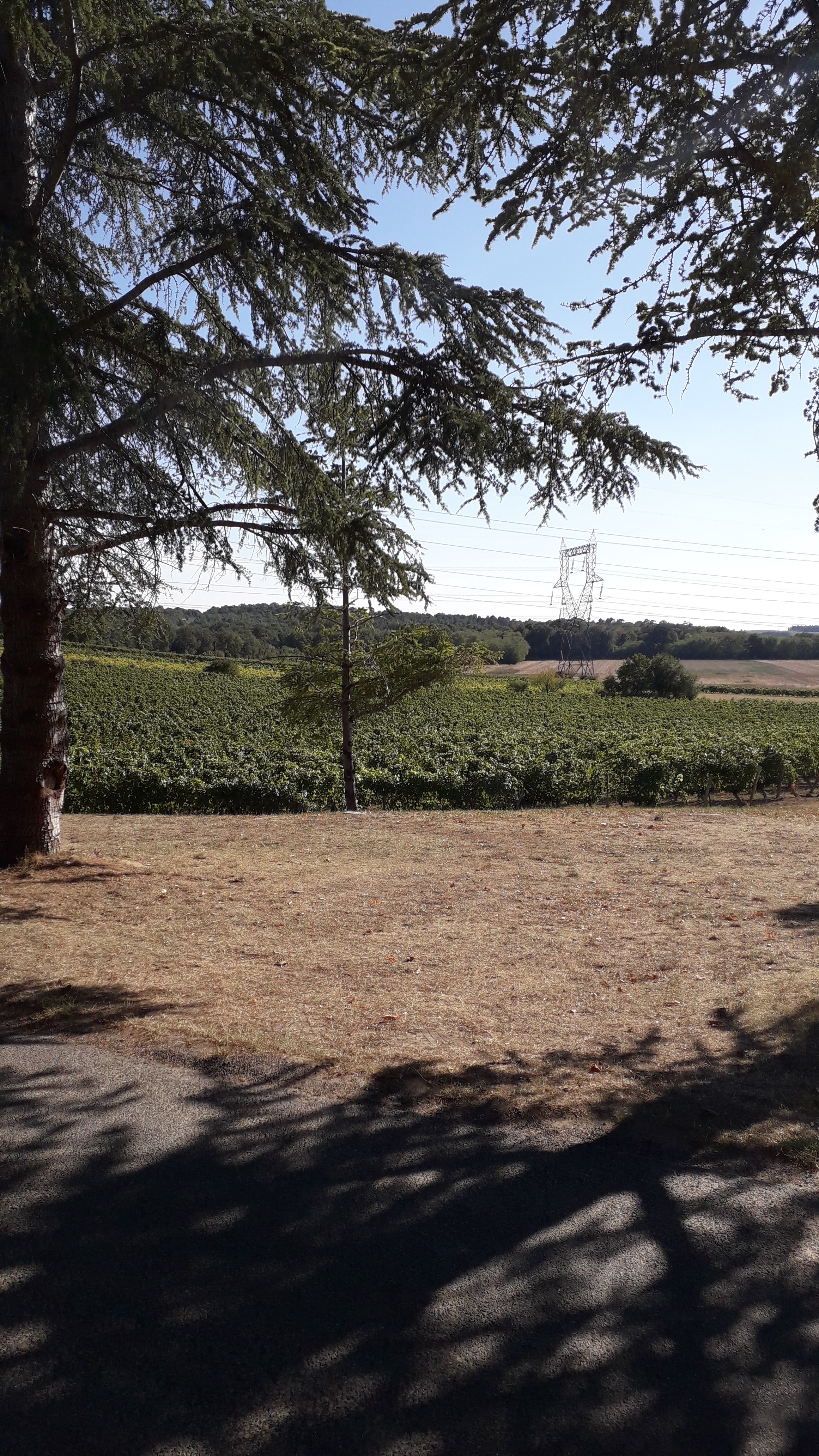 Photo n° 1 de l'avis de Aurélie. fait le 11/09/2019 à 17:51
