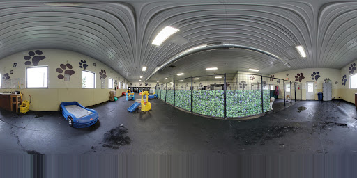 Dog Day Care Center «Pet Me Scratch Me», reviews and photos, 2551 E Main St, Onalaska, WI 54650, USA