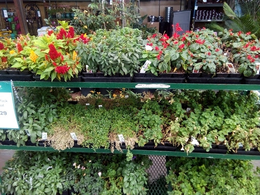 Hardware Store «Orchard Supply Hardware», reviews and photos, 452 Fair Oaks Ave, South Pasadena, CA 91030, USA