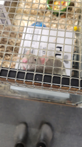 Pet Supply Store «Pet Loft», reviews and photos, 6333 SW Macadam Ave #104, Portland, OR 97239, USA