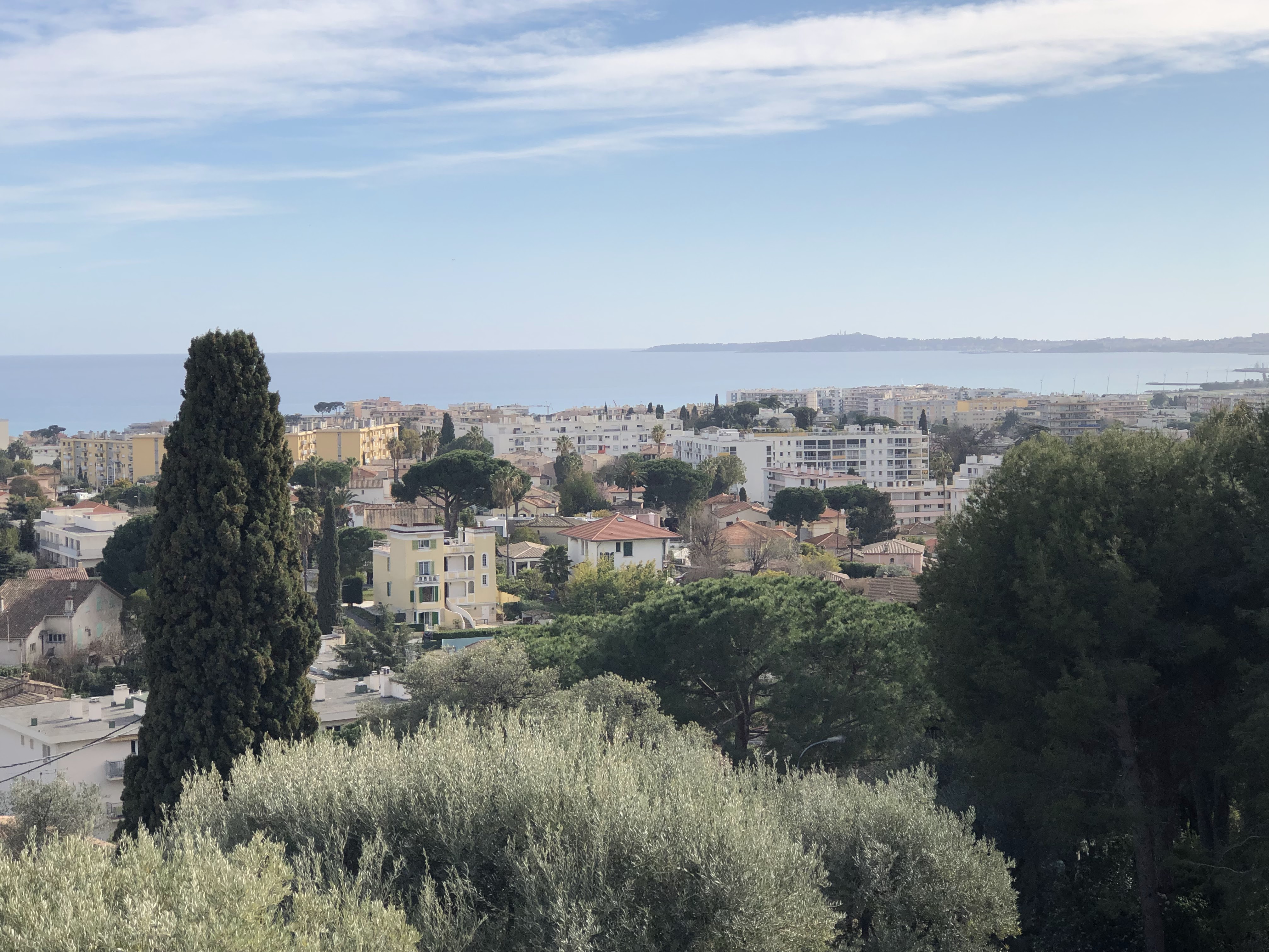Photo n° 45 de l'avis de Denis.u fait le 25/04/2019 à 10:20