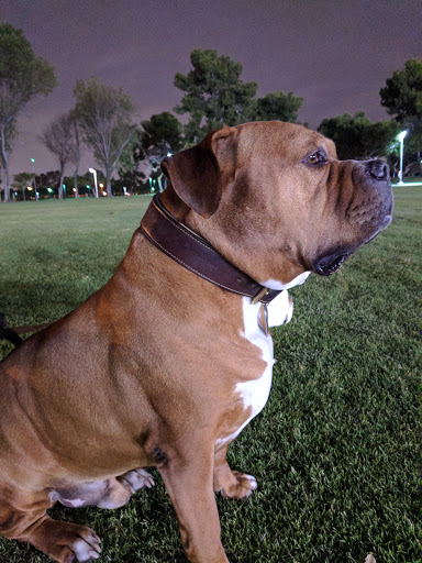 Park «Don Knabe Community Regional Park», reviews and photos, 19700 Bloomfield Ave, Cerritos, CA 90703, USA