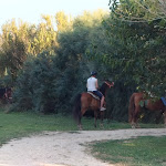 Photo n°1 de l'avis de Benedetta.u fait le 22/08/2023 à 12:27 sur le  Agriturismo Hornos à Marcelli