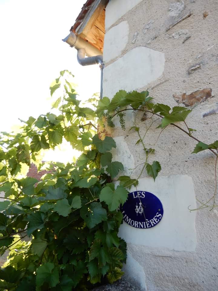 Photo n° 1 de l'avis de F..o fait le 15/08/2022 à 06:29