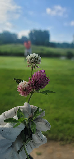 Public Golf Course «Hunters Ridge Golf Course», reviews and photos, 8101 Byron Rd, Howell, MI 48855, USA