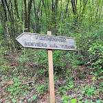 Photo n°2 de l'avis de Carmen.u fait le 16/04/2023 à 16:07 sur le  Ristorante Haderburg à Salorno