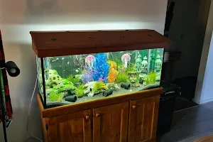 Big Fish Aquarium image