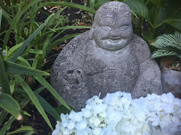 Integrity Acupuncture & Dr. Aimee Montanaro - Photo 3 - Car repair in Shelton, CT, Bridgeport