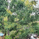 Photo n°5 de l'avis de Elke.e fait le 09/07/2022 à 15:04 sur le  Hotel Gästehaus Hochmann à Stadecken-Elsheim