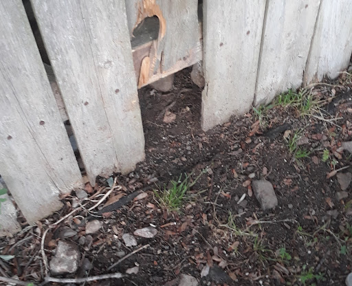 Pet Supply Store «Concord Pet Foods & Supplies», reviews and photos, 287 Christiana Rd, New Castle, DE 19720, USA