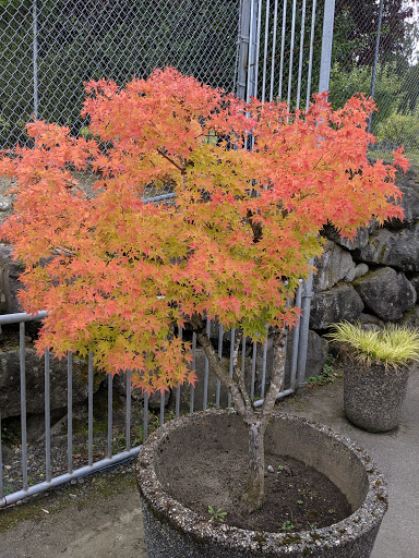 Zoo «Cougar Mountain Zoo», reviews and photos, 19525 SE 54th St, Issaquah, WA 98027, USA