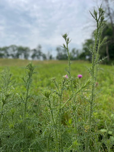 Park «Rose Hill Park», reviews and photos, 1871 Jones Rd, Winchester, VA 22602, USA