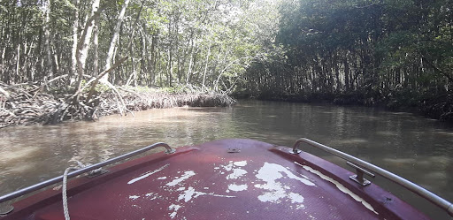 Top 20 cửa hàng play Huyện Cần Giờ Hồ Chí Minh 2022