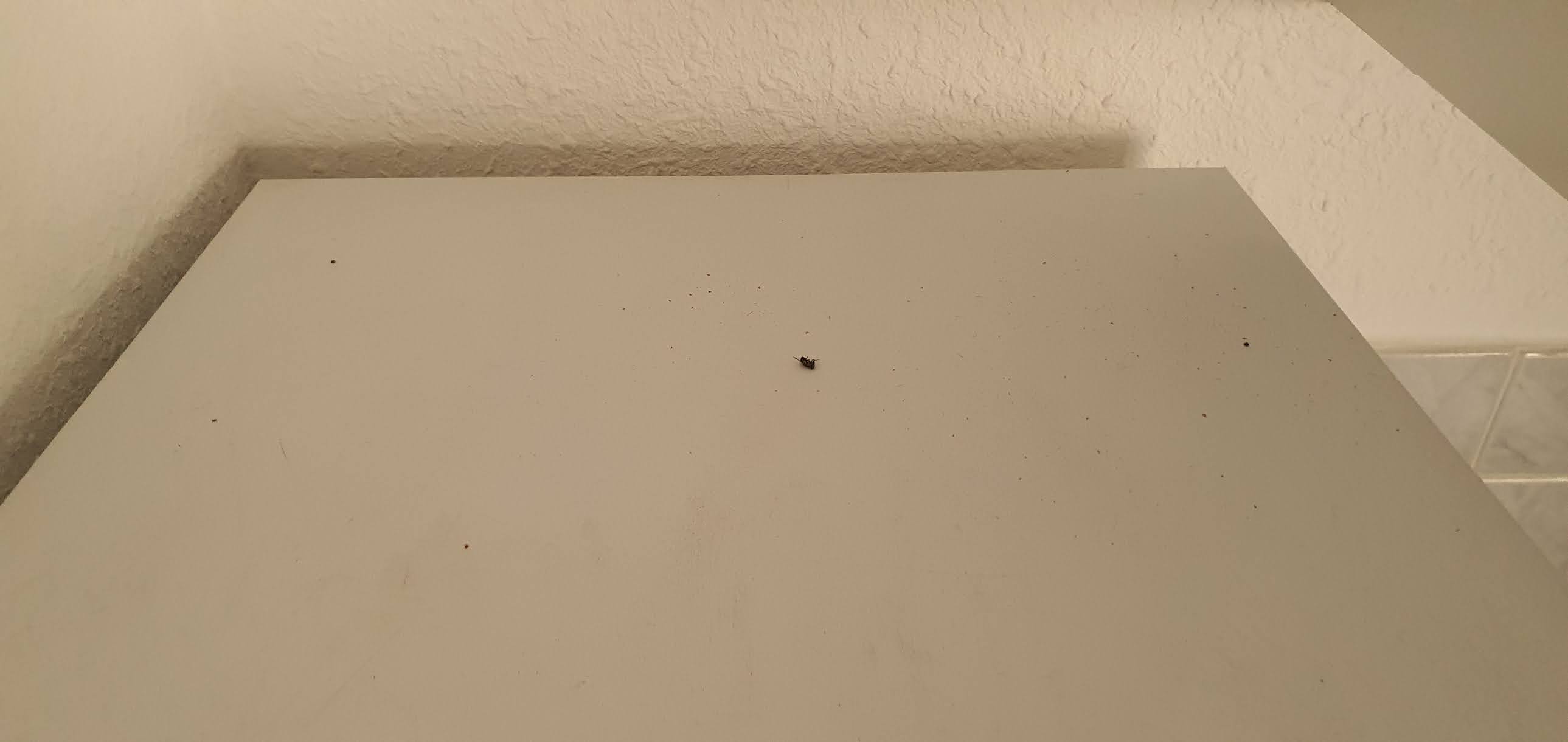Photo n° 9 de l'avis de Romain.a fait le 22/06/2020 à 08:43