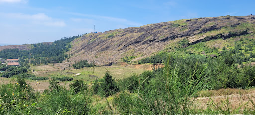 Top 20 cửa hàng akemi Huyện Lý Sơn Quảng Ngãi 2022