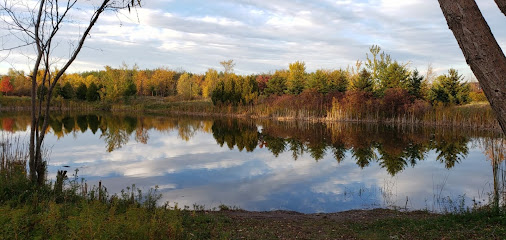 Glenhaven Pond