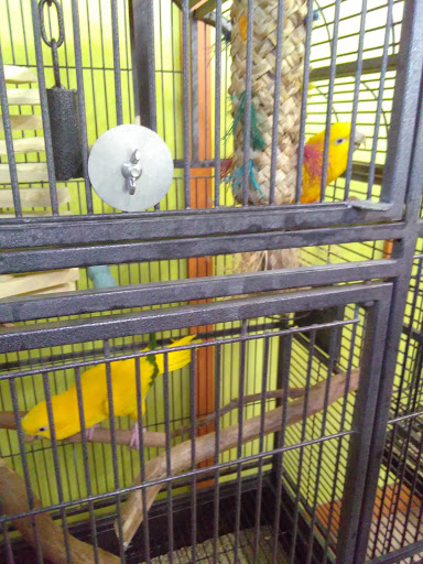Bird Shop «The Aviary at Cauley Square», reviews and photos, 22400 Old Dixie Hwy, Miami, FL 33170, USA