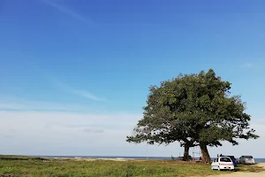 Pandak Beach image