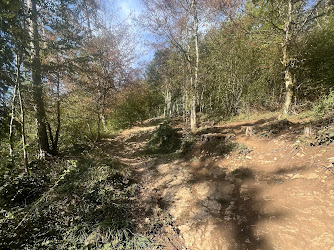 Biel trail (Mountainbike downhill trail Magglingen-Biel)